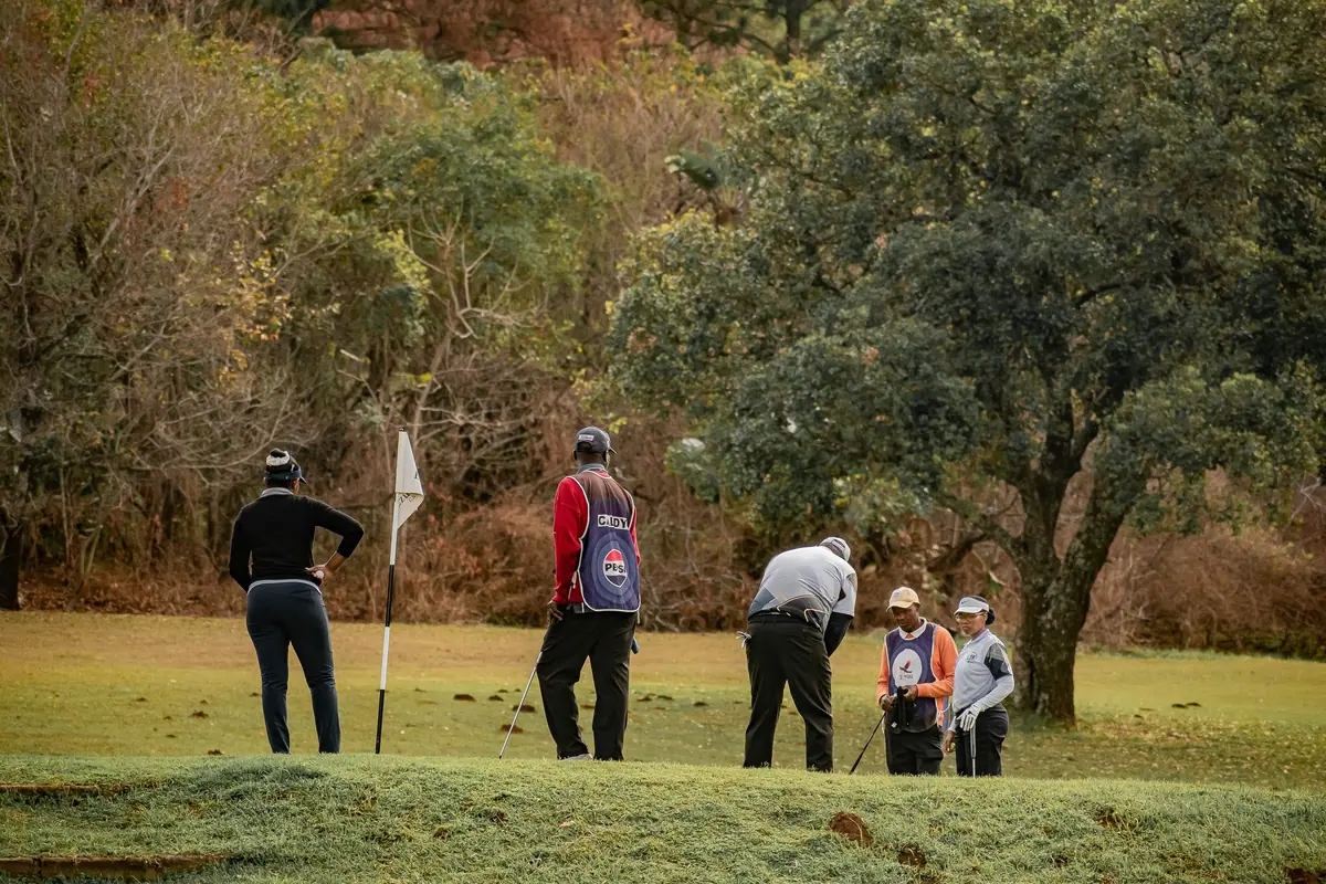 Four golfers on an autumn course
